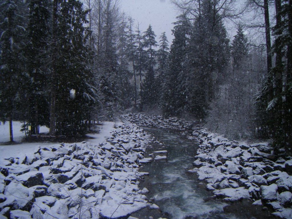 Snow-Covered Scenery in Whistler